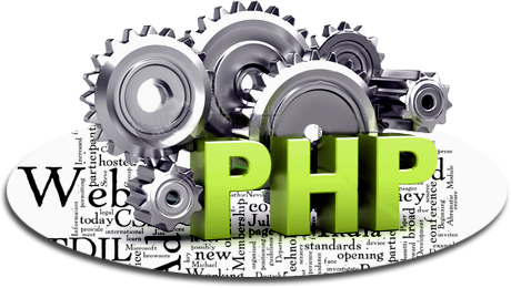 business website development picture